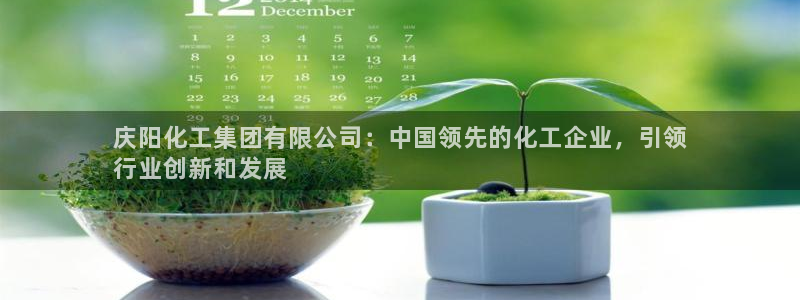 球盟会有没有黑单的活动：庆阳化工集团有限公司：中国领先的化工