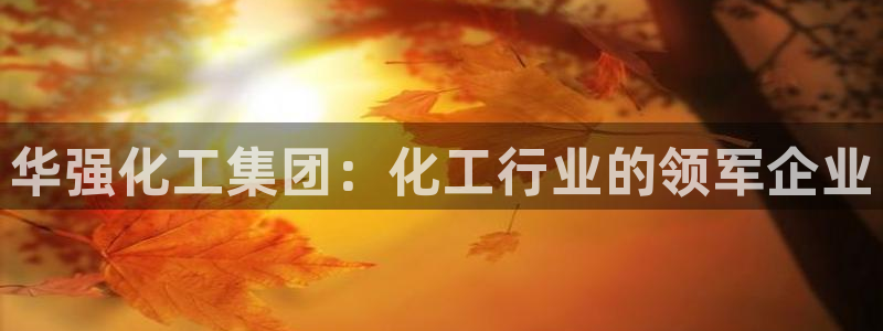 球盟会封号：华强化工集团：化工行业的领军企业