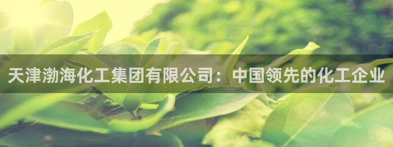 球盟会体育平台：天津渤海化工集团有限公司：中国领先的化工企业