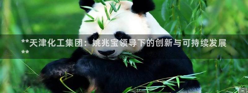 球盟会官网：**天津化工集团：姚兆宝领导下的创新与可持续发展