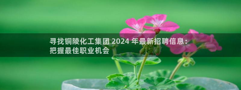 球盟会平台会黑单吗：寻找铜陵化工集团 2024 年最新招聘信
