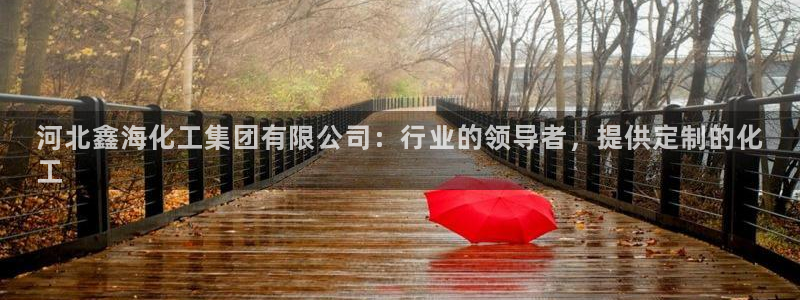 球盟会官方下载：河北鑫海化工集团有限公司：行业的领导者，提供