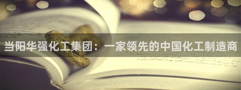 球盟会官网网页版：当阳华强化工集团：一家领先的中国化工制造商