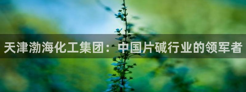 球盟会可以提现么是真的吗：天津渤海化工集团：中国片碱行业的领