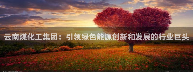 球盟会qm：云南煤化工集团：引领绿色能源创新和发展的行业巨头