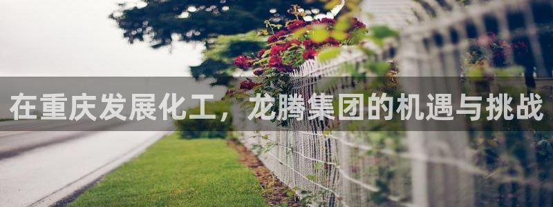 球盟会App：在重庆发展化工，龙腾集团的机遇与挑战