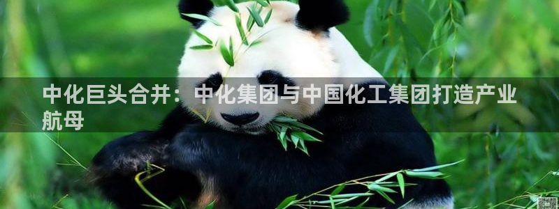 球盟会在线登录官网：中化巨头合并：中化集团与中国化工集团打造