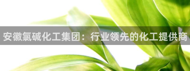 球盟会qmh：安徽氯碱化工集团：行业领先的化工提供商