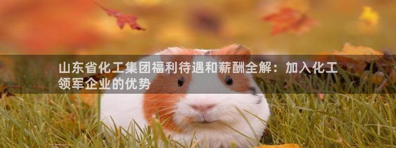球盟会黑台：山东省化工集团福利待遇和薪酬全解：加入化工
领军