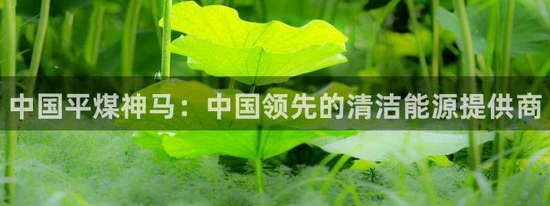 球盟会网页登录app下载地址：中国平煤神马：中国领先的清洁能