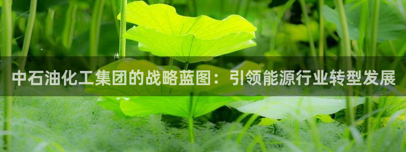 球盟会qmh官网：中石油化工集团的战略蓝图：引领能源行业转型