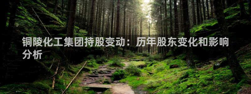 球盟会黑款吗是真的吗：铜陵化工集团持股变动：历年股东变化和影