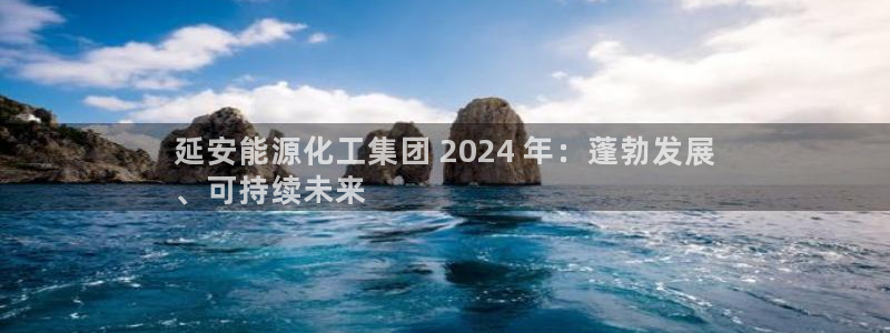 球盟会有限公司怎么样：延安能源化工集团 2024 年：蓬勃发