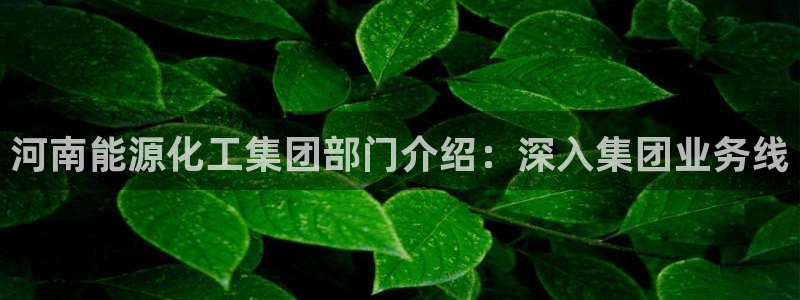 球盟会黑款吗还是白款：河南能源化工集团部门介绍：深入集团业务