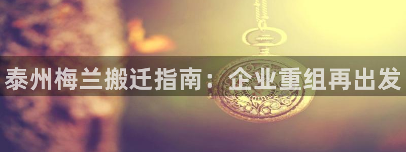 球盟会app手机登录：泰州梅兰搬迁指南：企业重组再出发