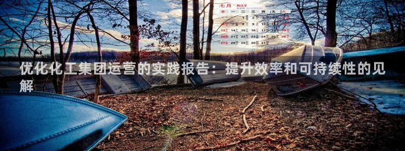 球盟会在线官网：优化化工集团运营的实践报告：提升效率和可持续