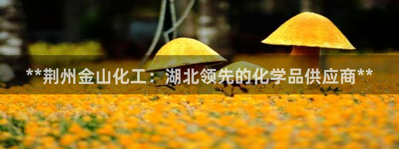 球盟会官方网站app：**荆州金山化工：湖北领先的化学品供应