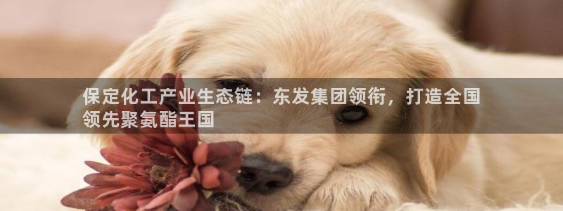 球盟会有没有黑单的：保定化工产业生态链：东发集团领衔，打造全