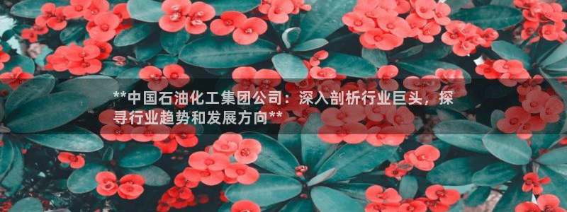 球盟会官方网址入口：**中国石油化工集团公司：深入剖析行业巨