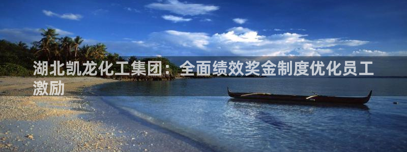 球盟会网页登录app下载地址：湖北凯龙化工集团：全面绩效奖金
