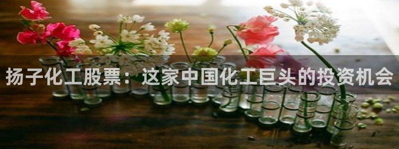 球盟会能提现吗安全吗：扬子化工股票：这家中国化工巨头的投资机
