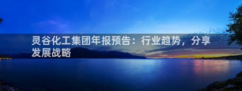 球盟会官方网站：灵谷化工集团年报预告：行业趋势，分享
发展战