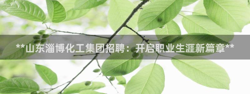 球盟会连接：**山东淄博化工集团招聘：开启职业生涯新篇章**
