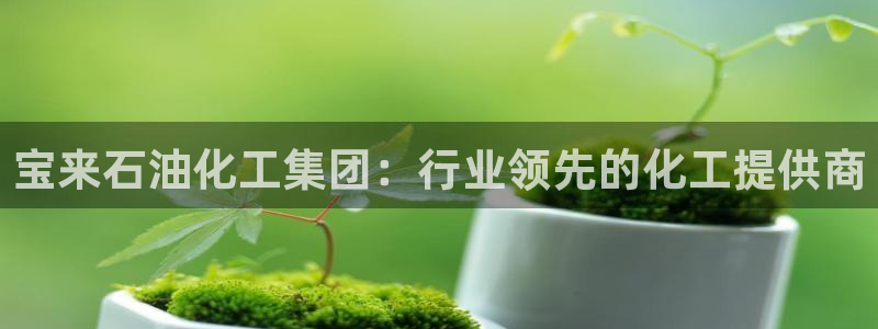 球盟会app最新地址下载安装：宝来石油化工集团：行业领先的化