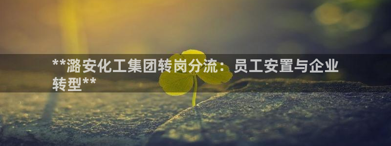 球盟会国际官网：**潞安化工集团转岗分流：员工安置与企业
转