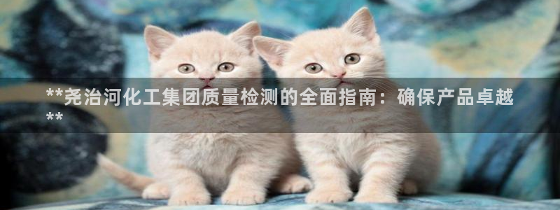 球盟会官方网页登录：**尧治河化工集团质量检测的全面指南：确