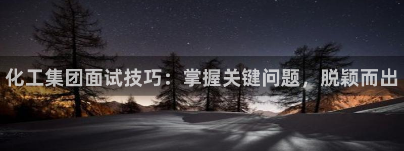 球盟会qmh电子网页版登录：化工集团面试技巧：掌握关键问题，