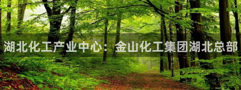 球盟会官方网站入口：湖北化工产业中心：金山化工集团湖北总部