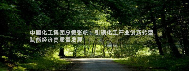 球盟会在线登录：中国化工集团总裁张帆：引领化工产业创新转型，