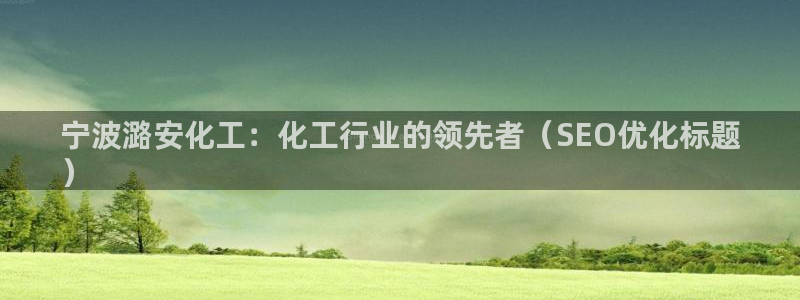 球盟会电子：宁波潞安化工：化工行业的领先者（SEO优化标题
