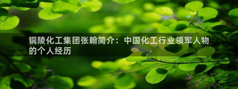 球盟会综合app下载：铜陵化工集团张翰简介：中国化工行业领军