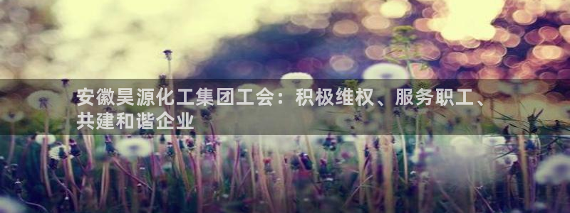 球盟会app最新地址在哪找：安徽昊源化工集团工会：积极维权、