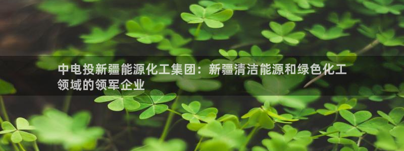球盟会电子：中电投新疆能源化工集团：新疆清洁能源和绿色化工

