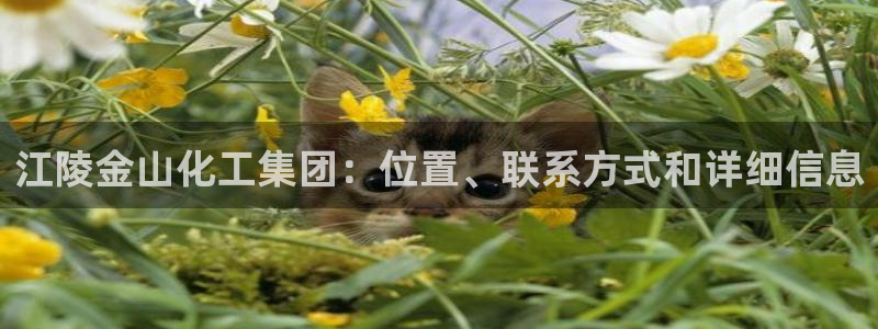 球盟会官方网站：江陵金山化工集团：位置、联系方式和详细信息