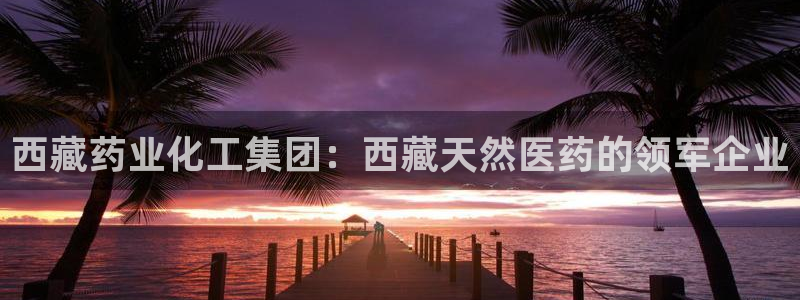 球盟会在线登录：西藏药业化工集团：西藏天然医药的领军企业