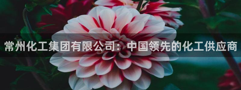 球盟会app手机登录：常州化工集团有限公司：中国领先的化工供
