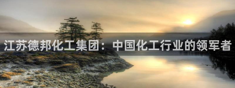 球盟会可以提现么现在：江苏德邦化工集团：中国化工行业的领军者