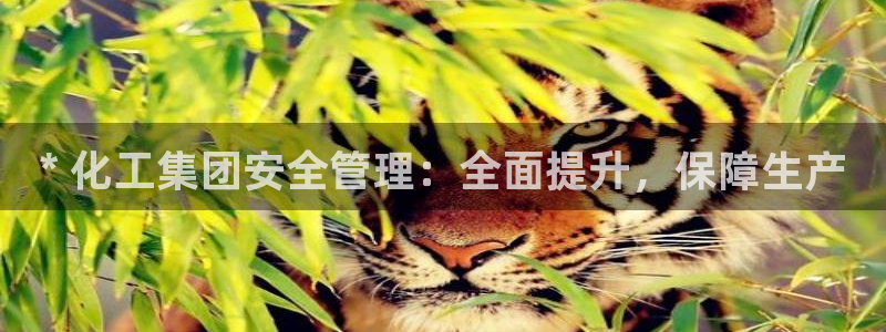 球盟会电子好黑：* 化工集团安全管理：全面提升，保障生产
