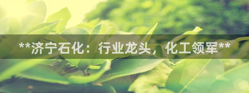 球盟会官方客服：**济宁石化：行业龙头，化工领军**