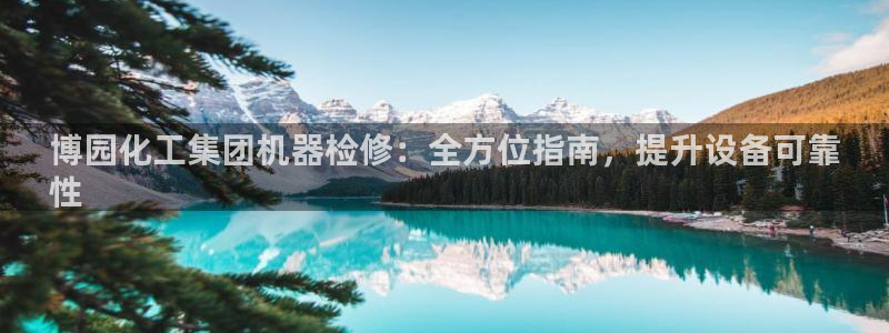 球盟会黑款吗：博园化工集团机器检修：全方位指南，提升设备可靠