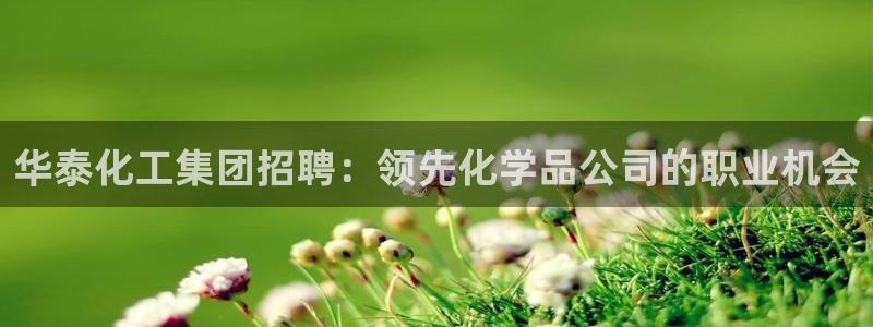 球盟会登陆中心：华泰化工集团招聘：领先化学品公司的职业机会
