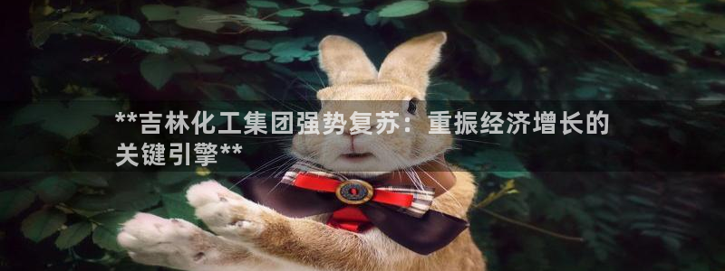 球盟会登录平台：**吉林化工集团强势复苏：重振经济增长的
关