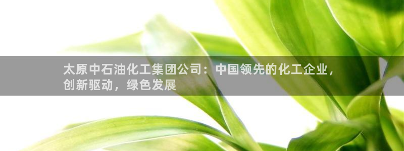 球盟会官方网站app：太原中石油化工集团公司：中国领先的化工