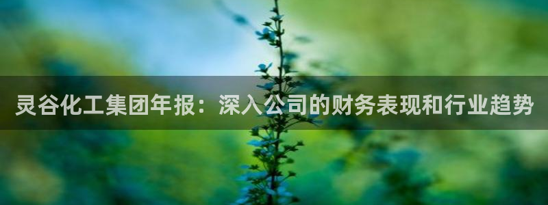 球盟会进不去球员吗：灵谷化工集团年报：深入公司的财务表现和行