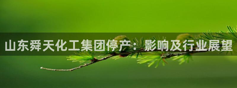 球盟会体育平台：山东舜天化工集团停产：影