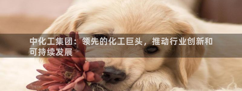 球盟会官方登录平台：中化工集团：领先的化